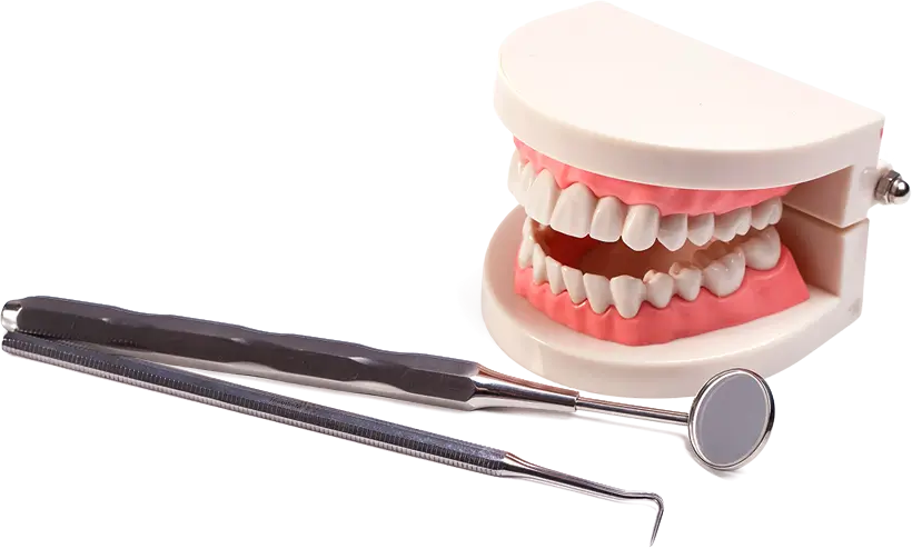 A Focus on Exceptional Dentistry